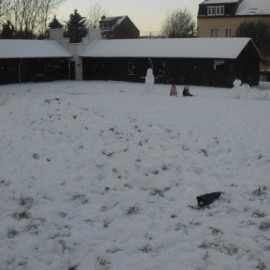 SDC11650 - Scouts en Gidsen Zaventem 